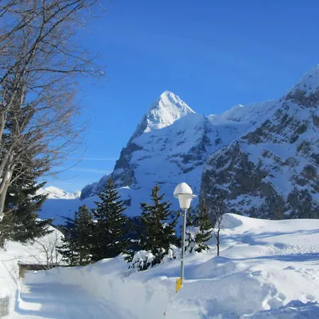 住宿加早餐酒店 Hotel-restaurant 施特歇尔贝格