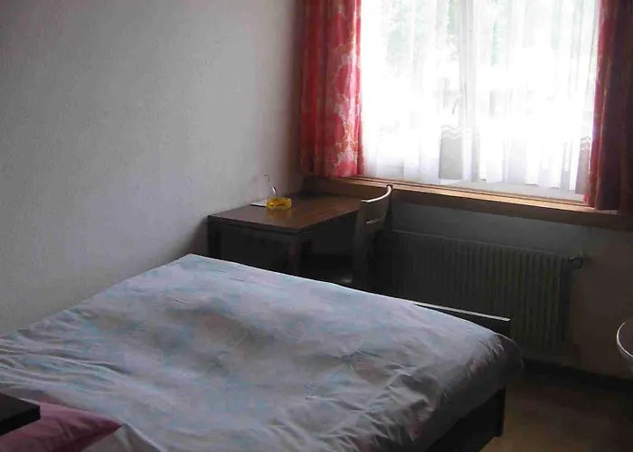 Hotel-restaurant Bed & Breakfast Stechelberg