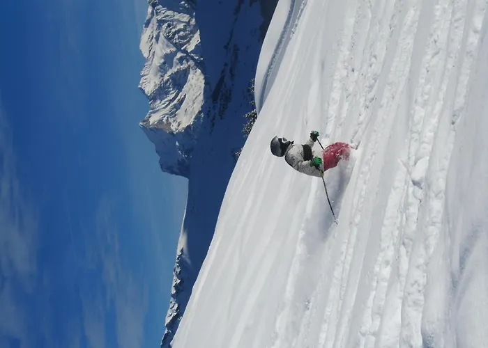 住宿加早餐酒店 Hotel-restaurant