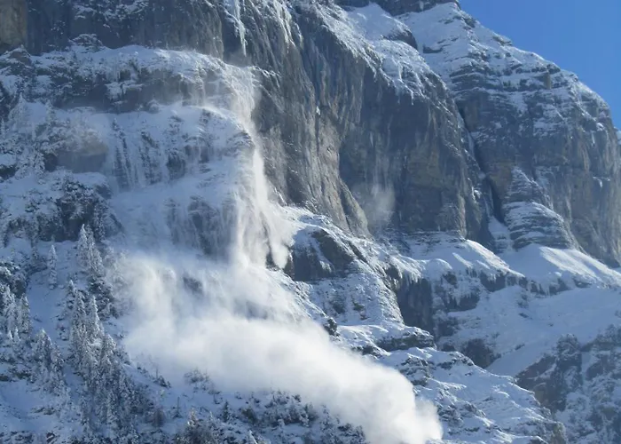 住宿加早餐酒店 Hotel-restaurant