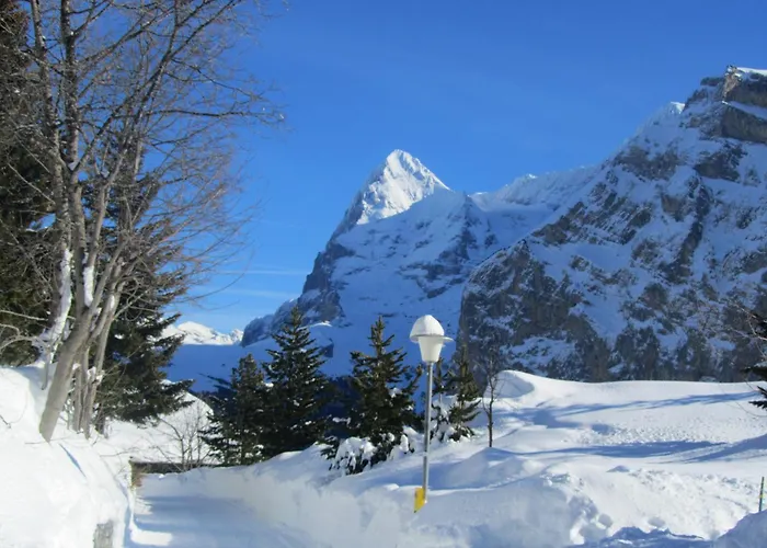 住宿加早餐酒店 Hotel-restaurant 施特歇尔贝格
